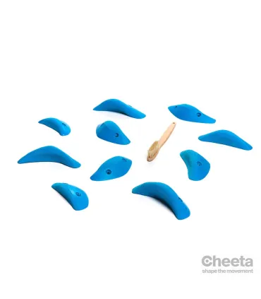 Cheeta Boomerang Station  021.04.S-M