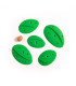 Morpho Parasites