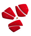 Morpho Dense 01 H-045