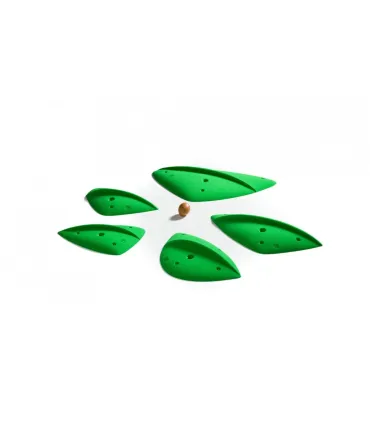 Morpho Leaf Disorder