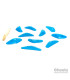 Cheeta Boomerang Sydney  XS2 021.02.XS-H