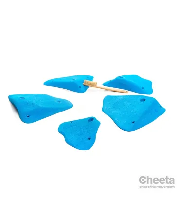 Cheeta 2018 L3 100.03 L-M