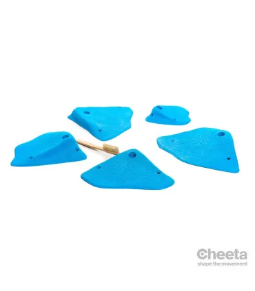 Cheeta 2018 L3 100.03 L-M