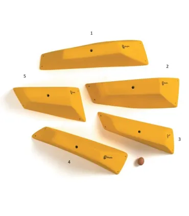 Morpho Bricks 1