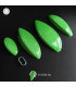Anatomic Ovals PU