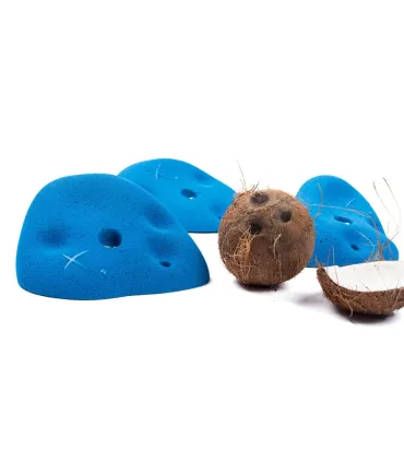 eXpression Coconut Roof Jugs XXL1