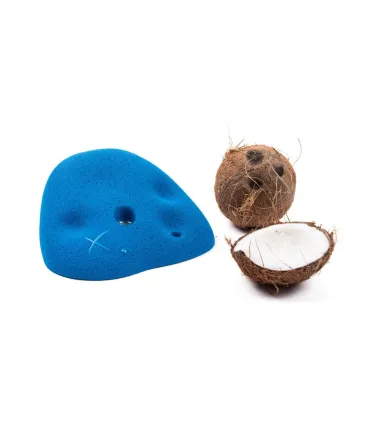 eXpression Coconut Roof Jugs XXL1