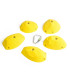 Kitka Facets 007 PU