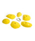 Kitka Facets 009 PU