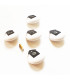 AIX Downclimb-M White Black