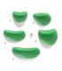 Morpho Beans DT V.071