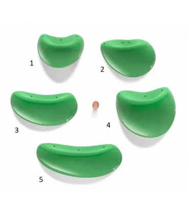 Morpho Beans DT V.071