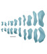 Xcult Evolution Fiberglass - Set 6