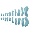 Xcult Evolution Fiberglass - Set 6