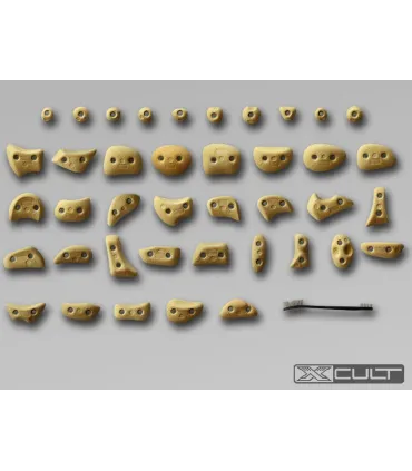 Xcult Screw on 1