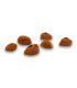 Monkeys 360-1054