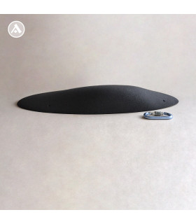 Anatomic volumes Oval