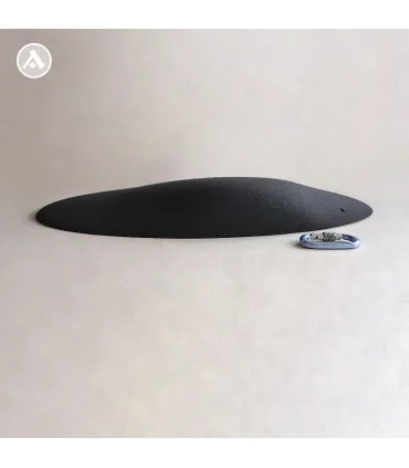 Anatomic volumes Oval