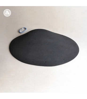 Anatomic volumes Oval