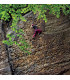 Climbing Guide Kletterführer Elbtal 2 - Left Bank