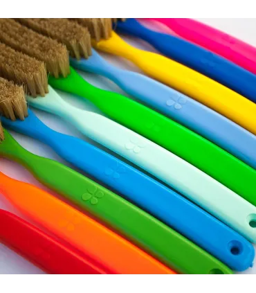 Lapis plastic brush