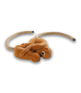 Monkeys 360-1045