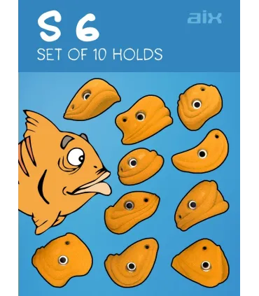 S 6